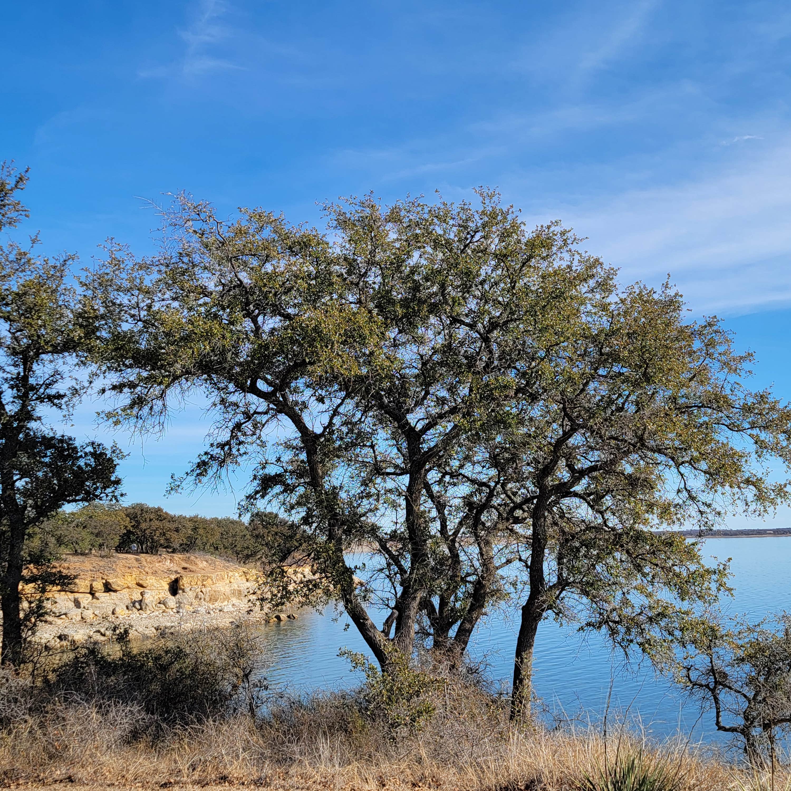 Hubbard Creek Public Recreation area Camping Albany, TX The Dyrt