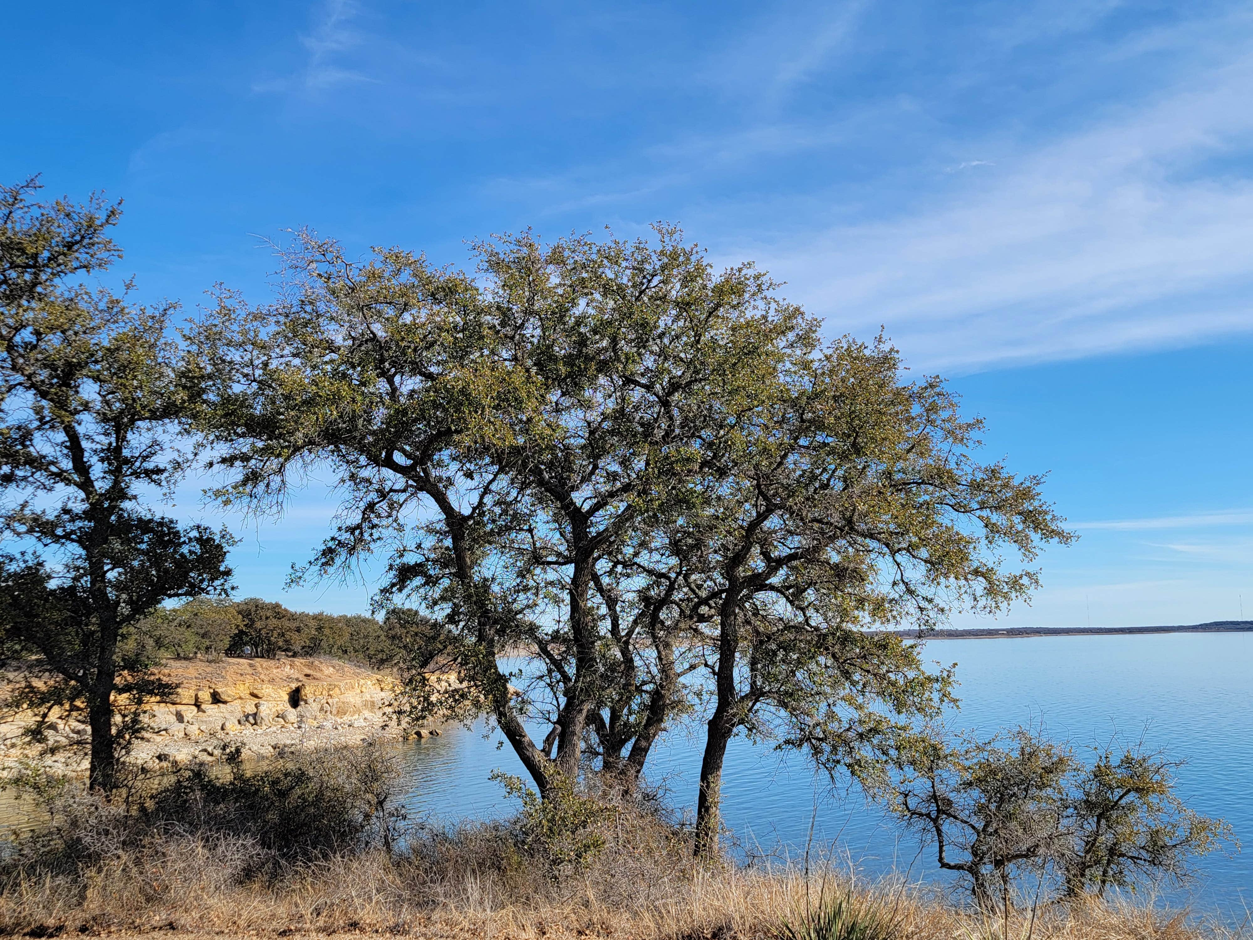 Camper submitted image from Hubbard Creek Public Recreation area - 3