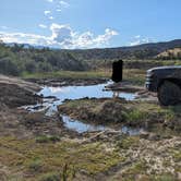 Review photo of Hubbard Mesa OHV East - BLM by Kathryn  S., June 10, 2024