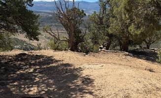 Roger's photo of camping with pets at Hubbard Mesa West near Parachute, CO