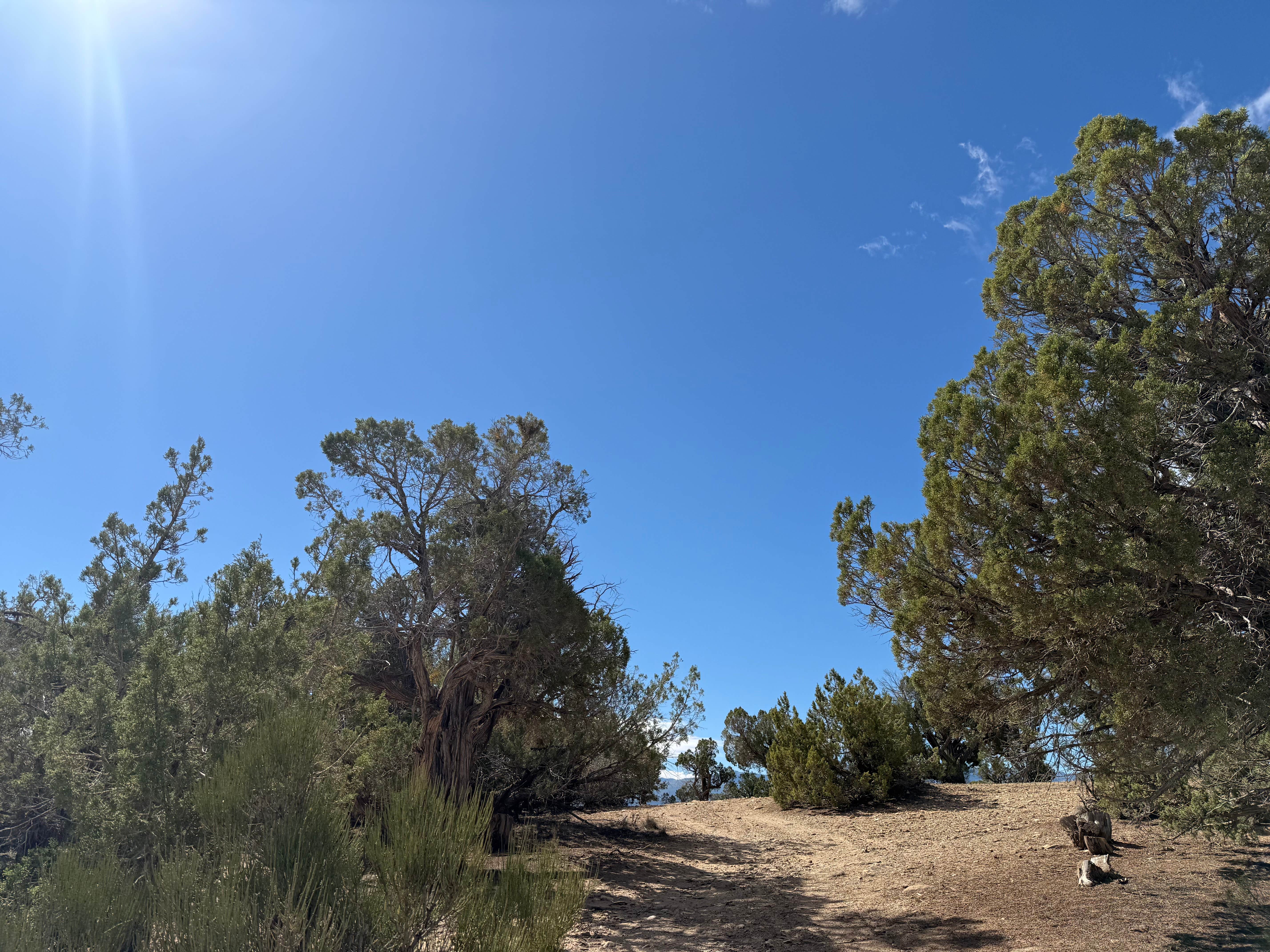 Roger's photo of a dispersed camping area at Hubbard Mesa West near Rifle, CO