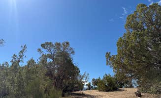 Roger's photo of a dispersed camping area at Hubbard Mesa West near De Beque, CO
