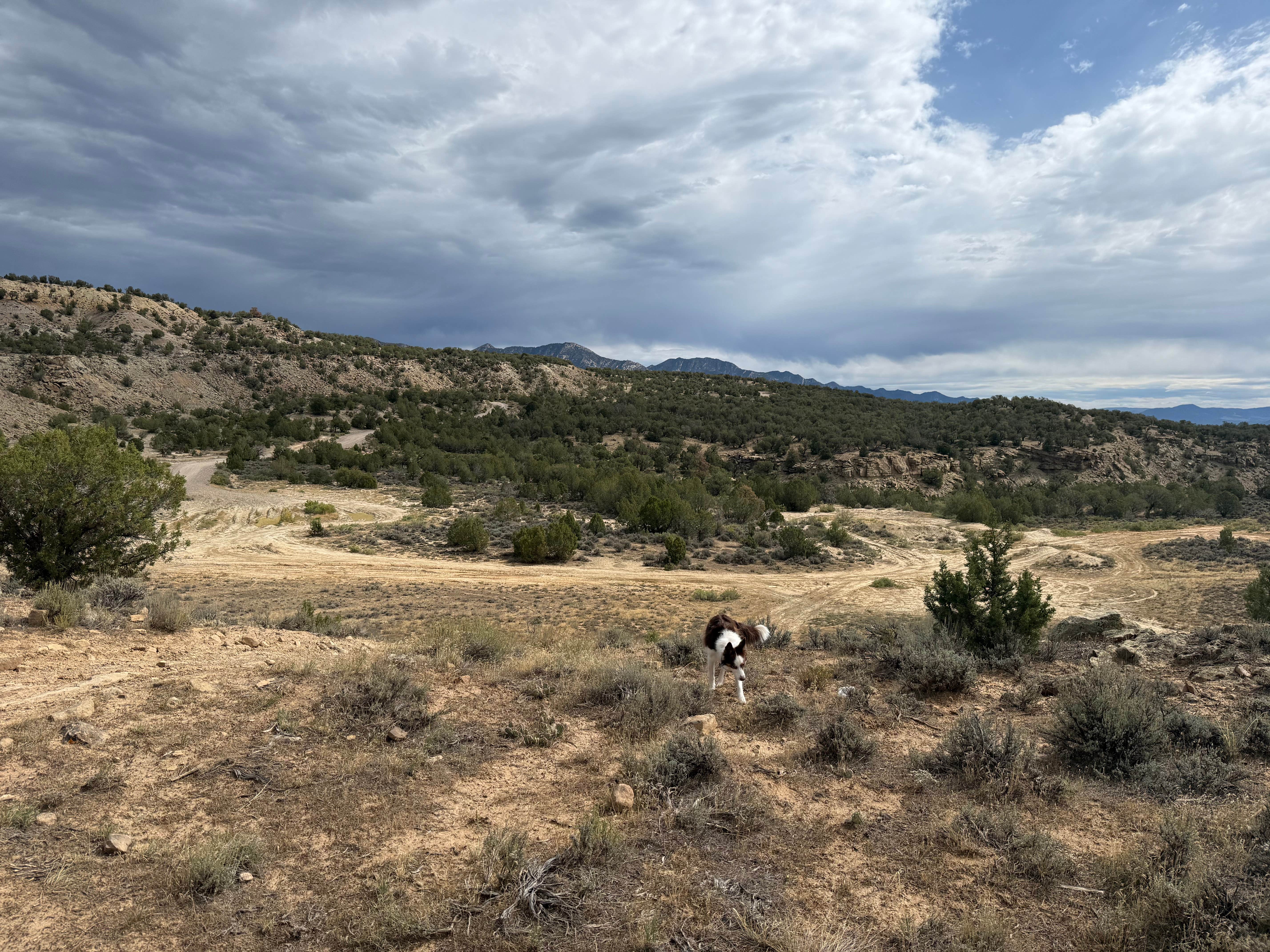 Camper-submitted photo at Hubbard Mesa West near Rifle, CO