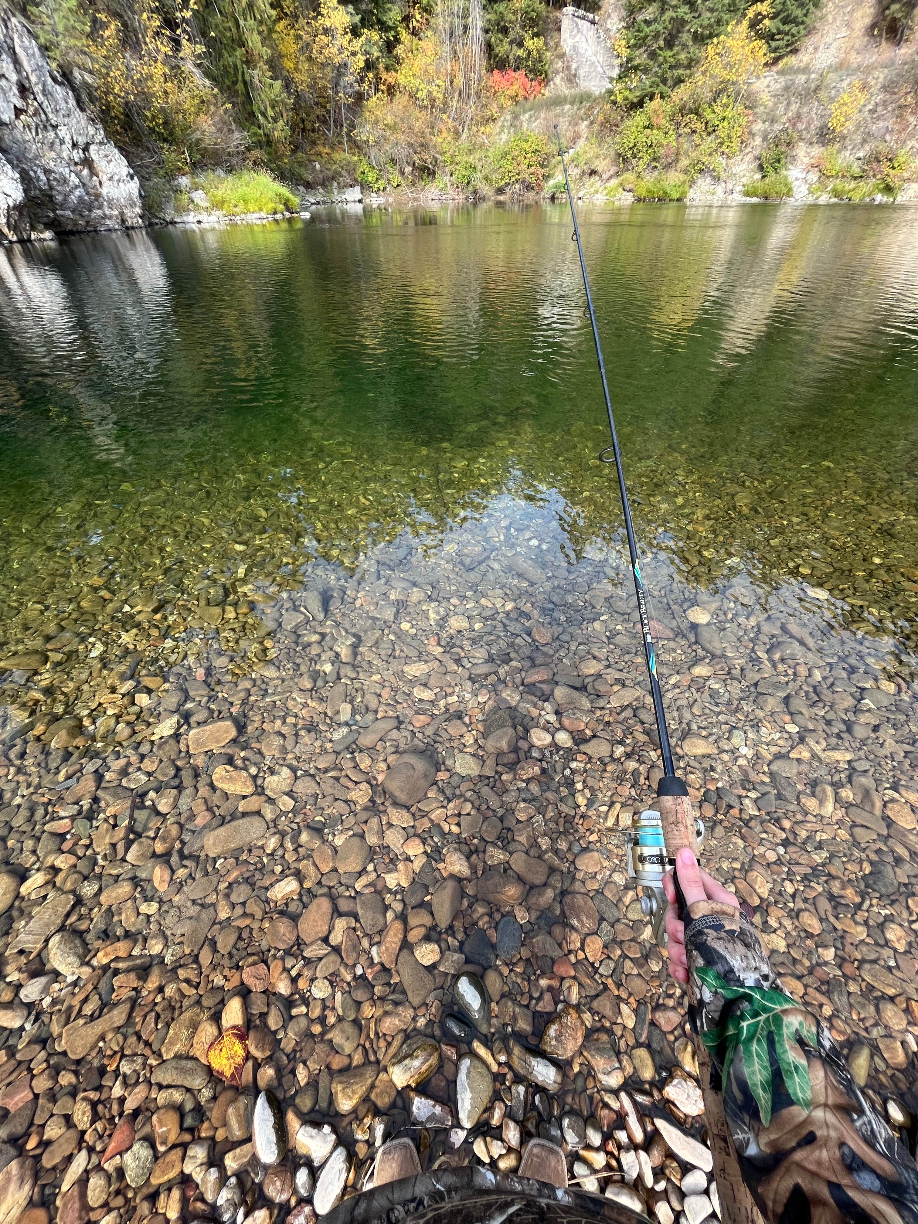 Camper submitted image from Huckleberry Campground - 1