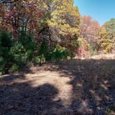 Review photo of Huckleberry Ridge Conservation Area by I W., October 26, 2024