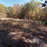 Review photo of Huckleberry Ridge Conservation Area by I W., October 26, 2024