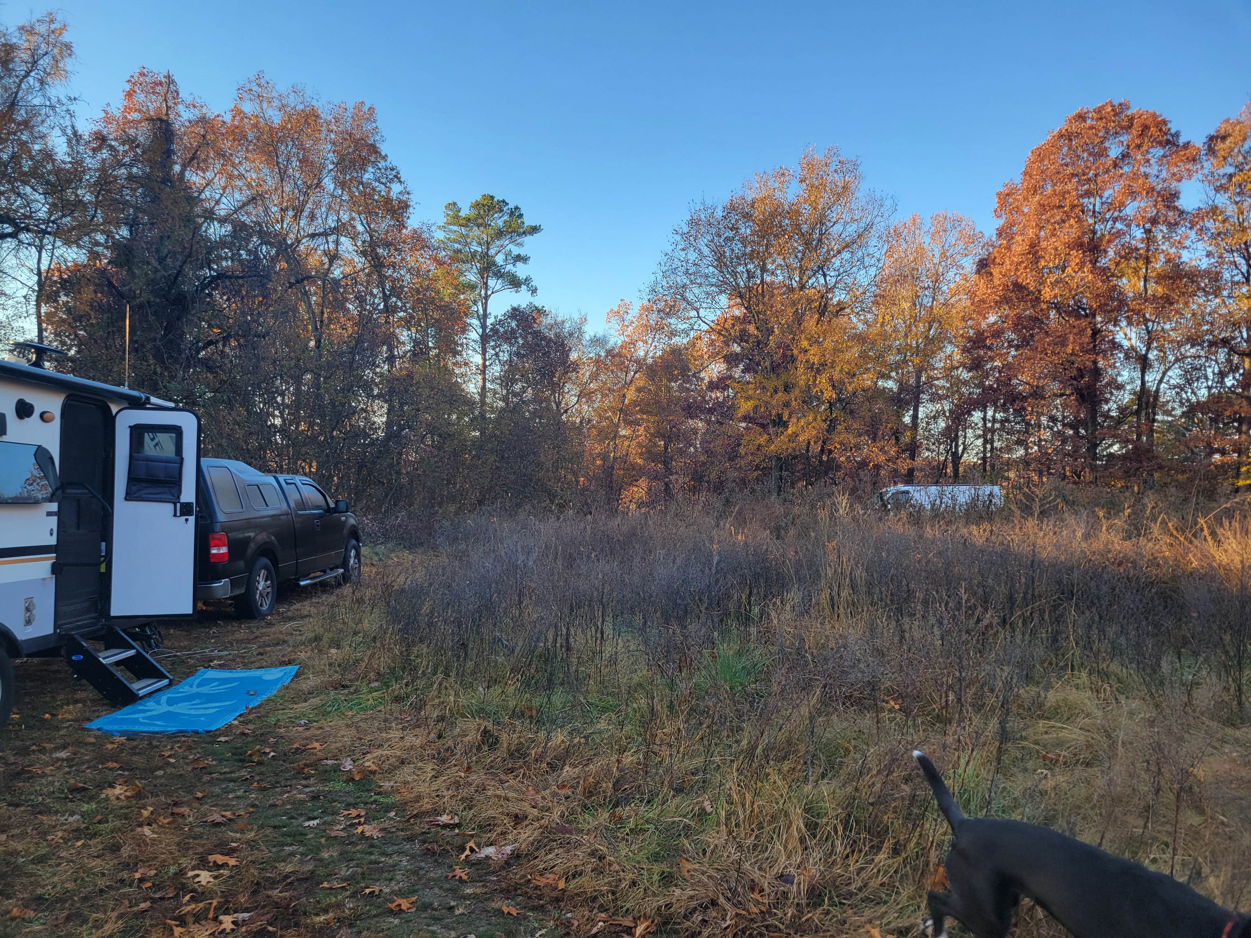 Camper submitted image from Huckleberry Ridge Conservation Area - 5