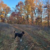 Review photo of Huckleberry Ridge Conservation Area by Travis A., November 14, 2025