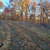 Review photo of Huckleberry Ridge Conservation Area by Travis A., November 14, 2025