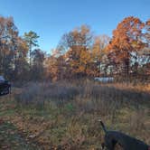 Review photo of Huckleberry Ridge Conservation Area by Travis A., November 14, 2025