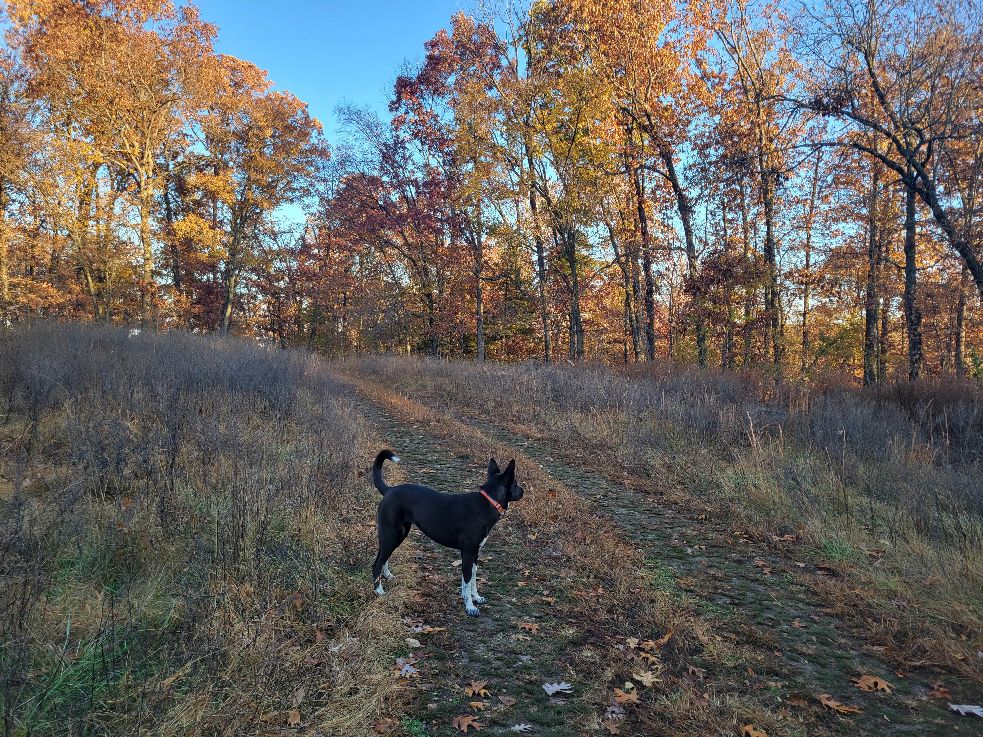Huckleberry Ridge Conservation Area