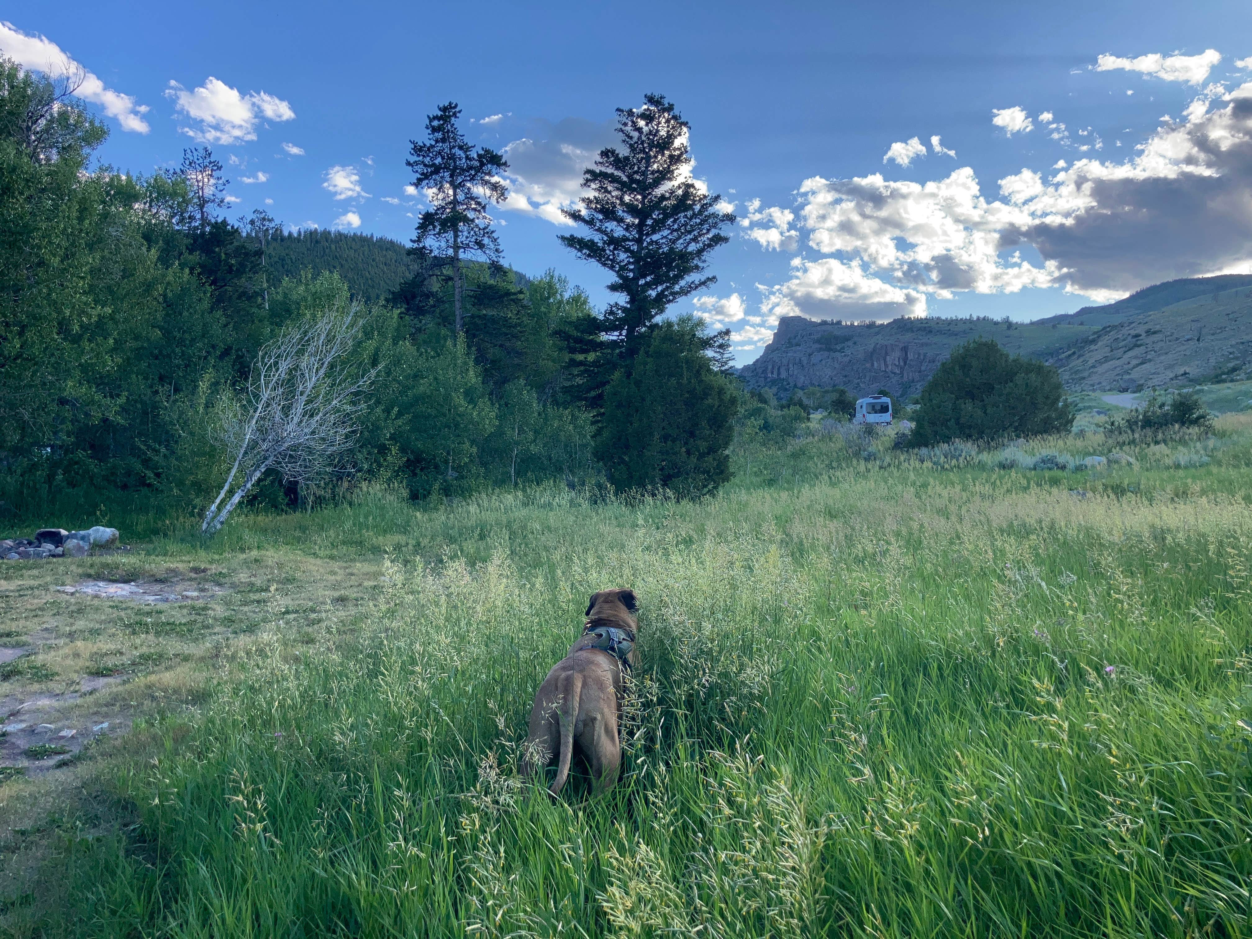Karen S V.'s photo of a dispersed camping area at Hugh Otte Camping Area near Riverton, WY