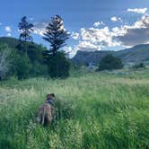 Review photo of Hugh Otte Camping Area by Karen S V., July 2, 2025