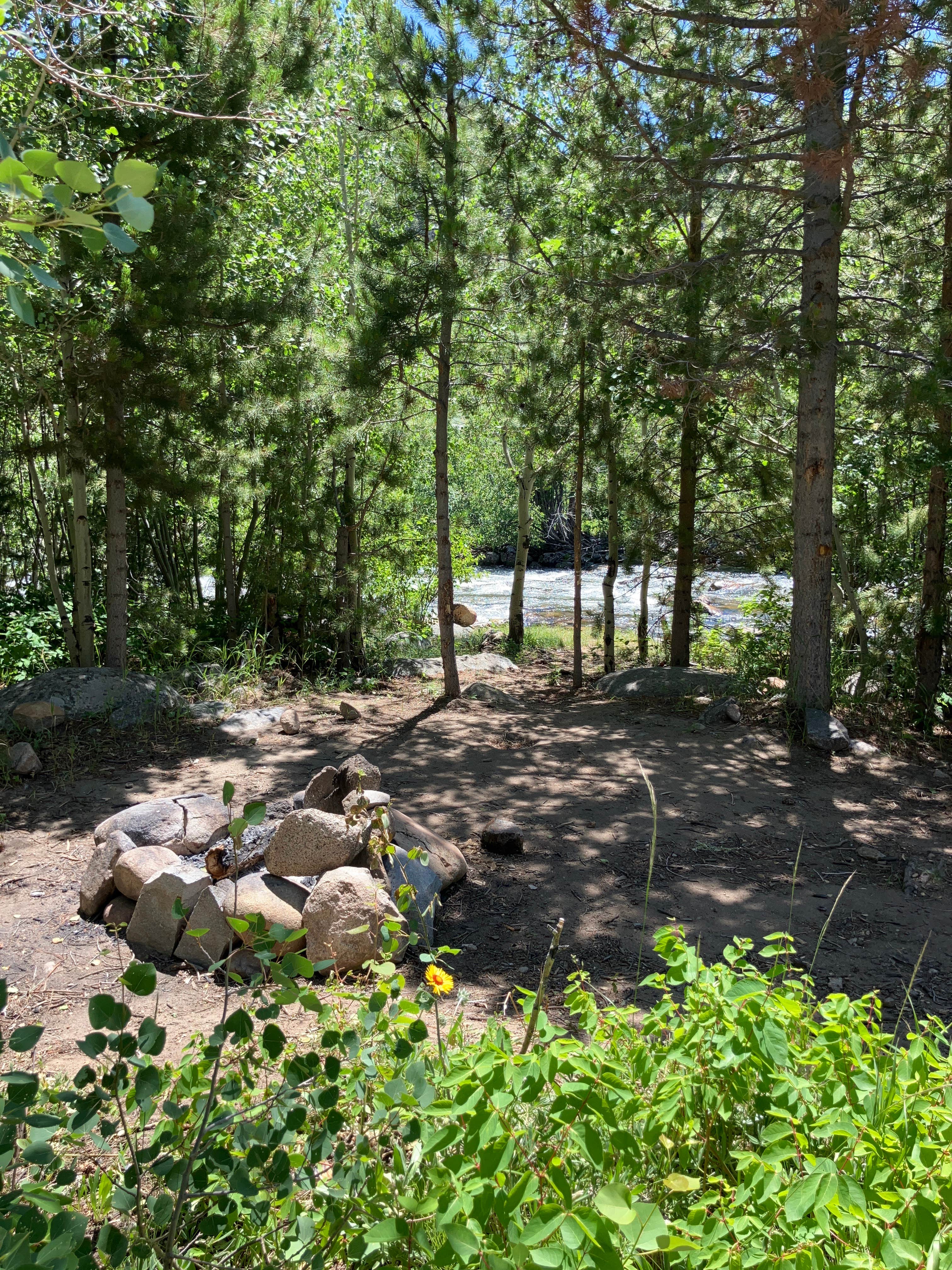 Camper-submitted photo at Hugh Otte Camping Area near Riverton, WY