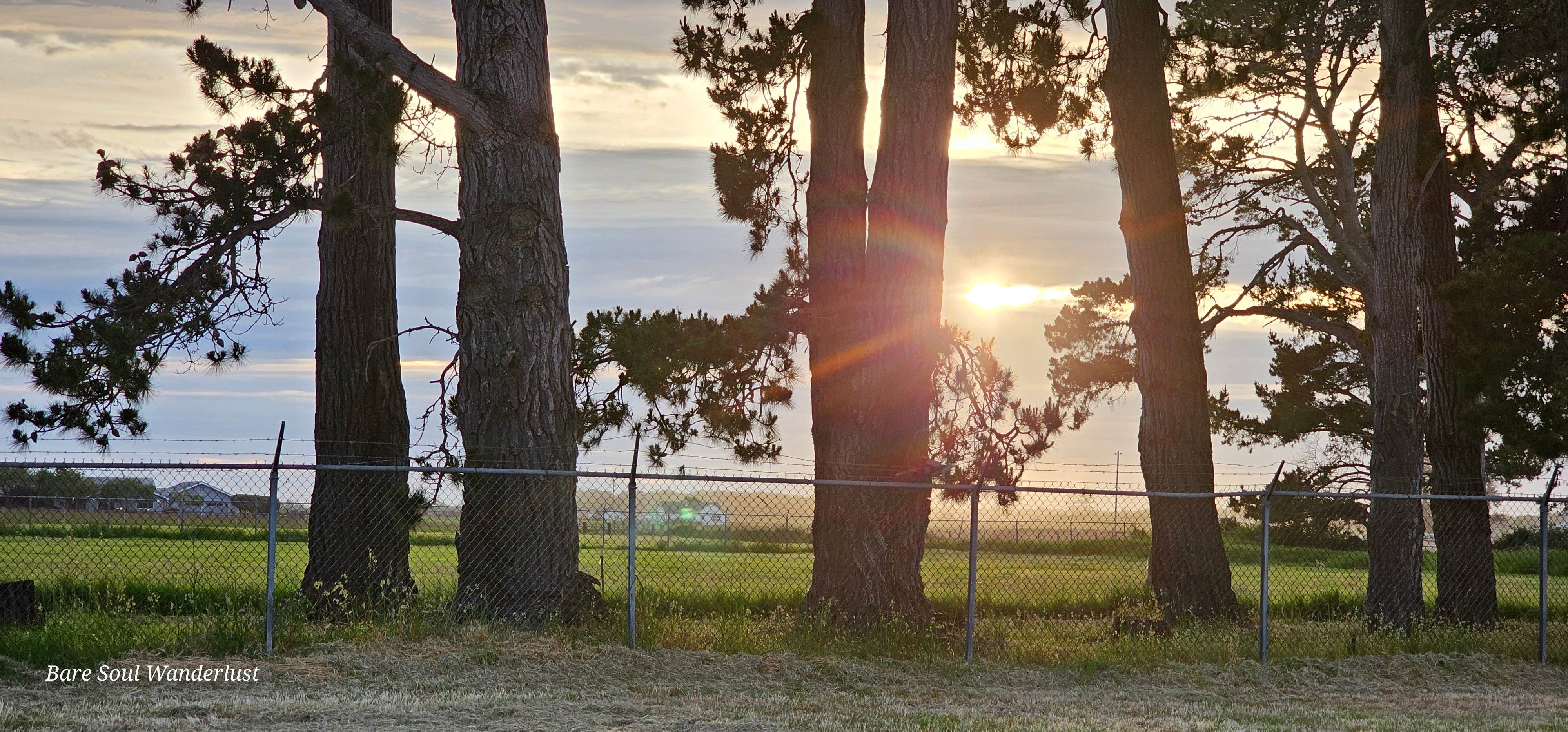 Camper submitted image from Humboldt County Fairgrounds RV Park and Campground - 2