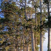 Review photo of Humboldt County Fairgrounds RV Park and Campground by Glen B., August 23, 2026