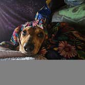 Review photo of Humboldt County Fairgrounds RV Park and Campground by Bare Soul  W., May 26, 2025
