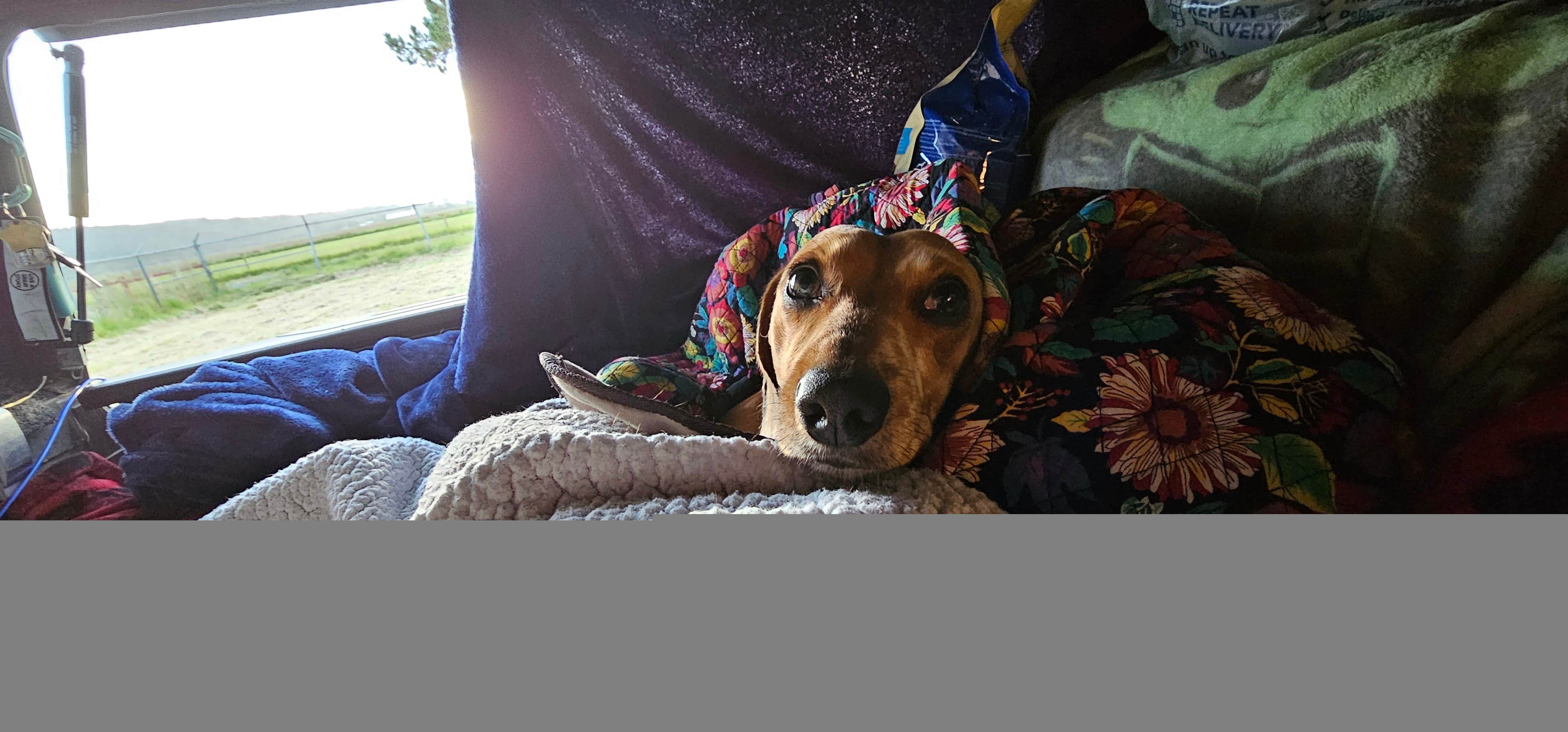 Camper submitted image from Humboldt County Fairgrounds RV Park and Campground - 4