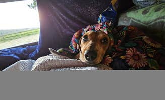 Bare Soul  W.'s photo at Humboldt County Fairgrounds RV Park and Campground near Fields Landing, CA