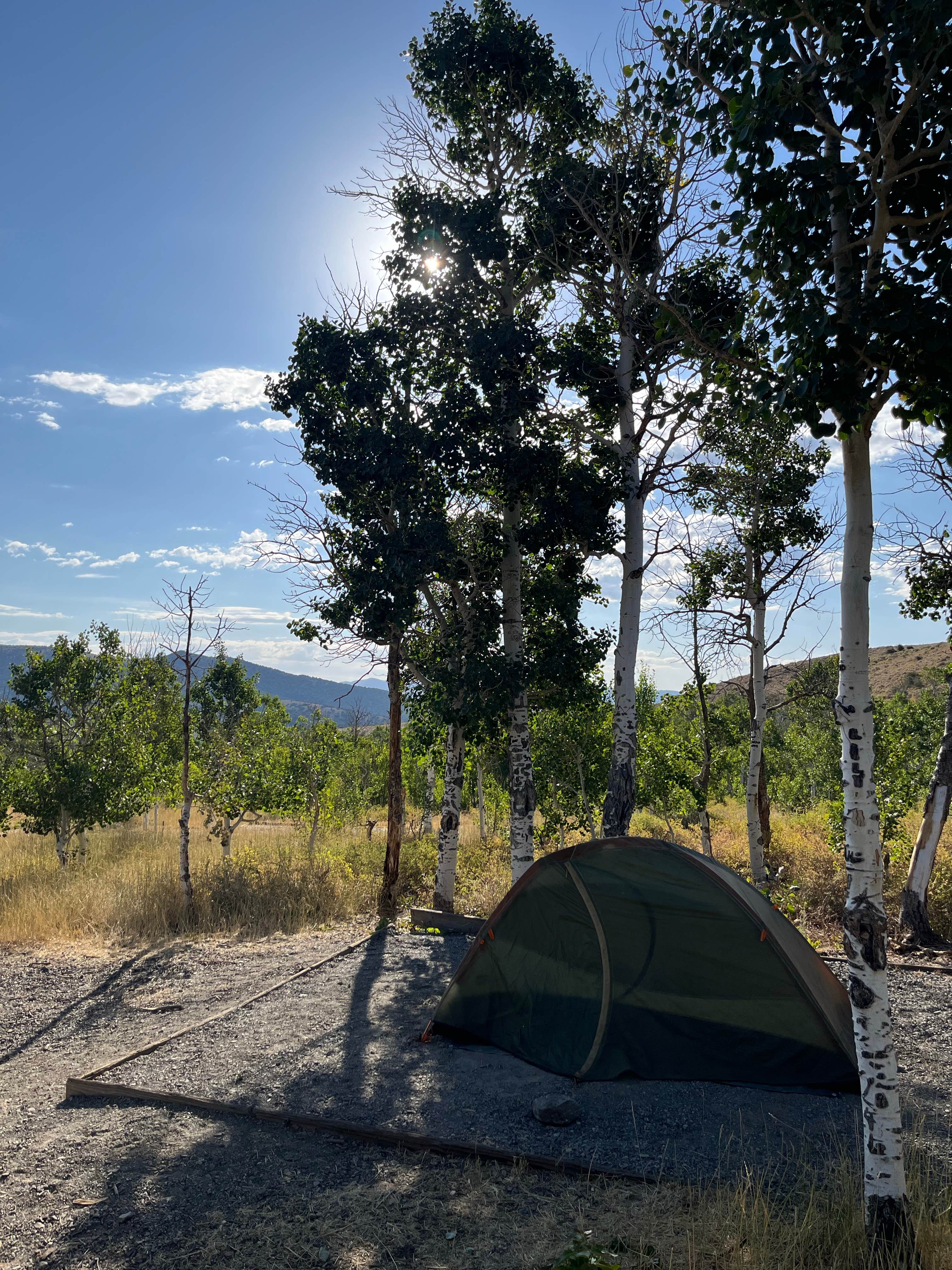 Bryan M.'s photo at Humboldt National Forest Angel Creek Campground near Elko, NV