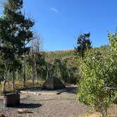 Review photo of Humboldt National Forest Angel Creek Campground by Bryan M., August 17, 2025
