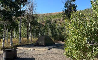 Bryan M.'s photo at Humboldt National Forest Angel Creek Campground near Elko, NV