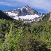 Review photo of Humboldt National Forest Thomas Canyon Campground by Mike M., April 23, 2025