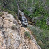 Review photo of Humboldt National Forest Thomas Canyon Campground by Bret A., July 17, 2026