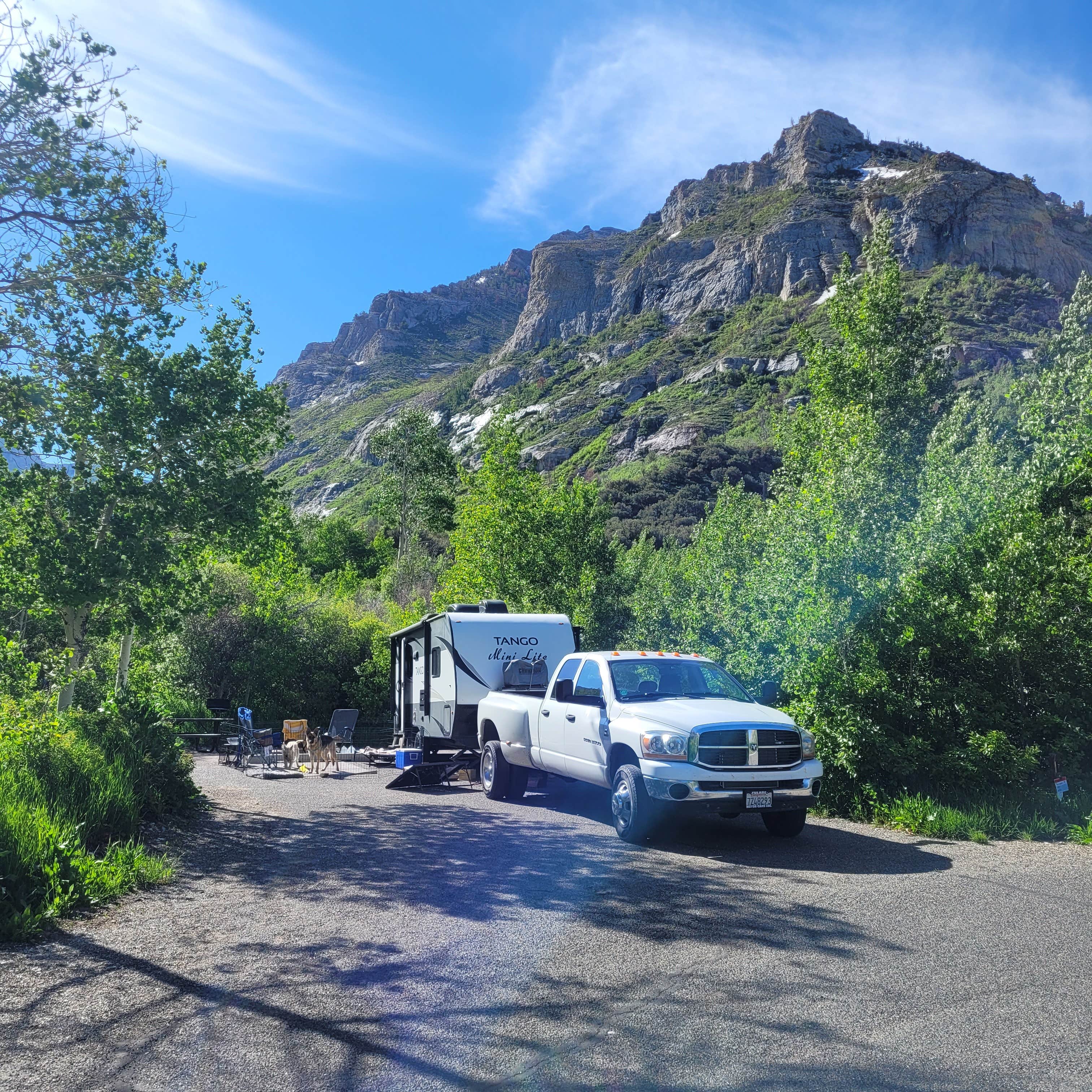 Mike M.'s photo of camping with pets at Humboldt National Forest Thomas Canyon Campground near Ruby Valley, NV