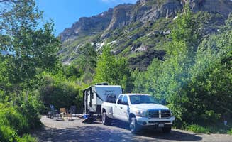 Mike M.'s photo of camping with pets at Humboldt National Forest Thomas Canyon Campground near Spring Creek, NV