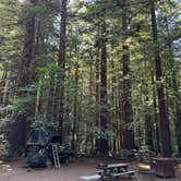 Review photo of Burlington Campground — Humboldt Redwoods State Park by Laura S., May 26, 2025