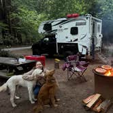 Review photo of Burlington Campground — Humboldt Redwoods State Park by Vanessa C., July 9, 2026