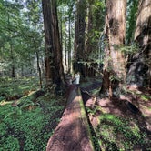 Review photo of Hidden Springs Campground — Humboldt Redwoods State Park by Brodie D., March 11, 2024