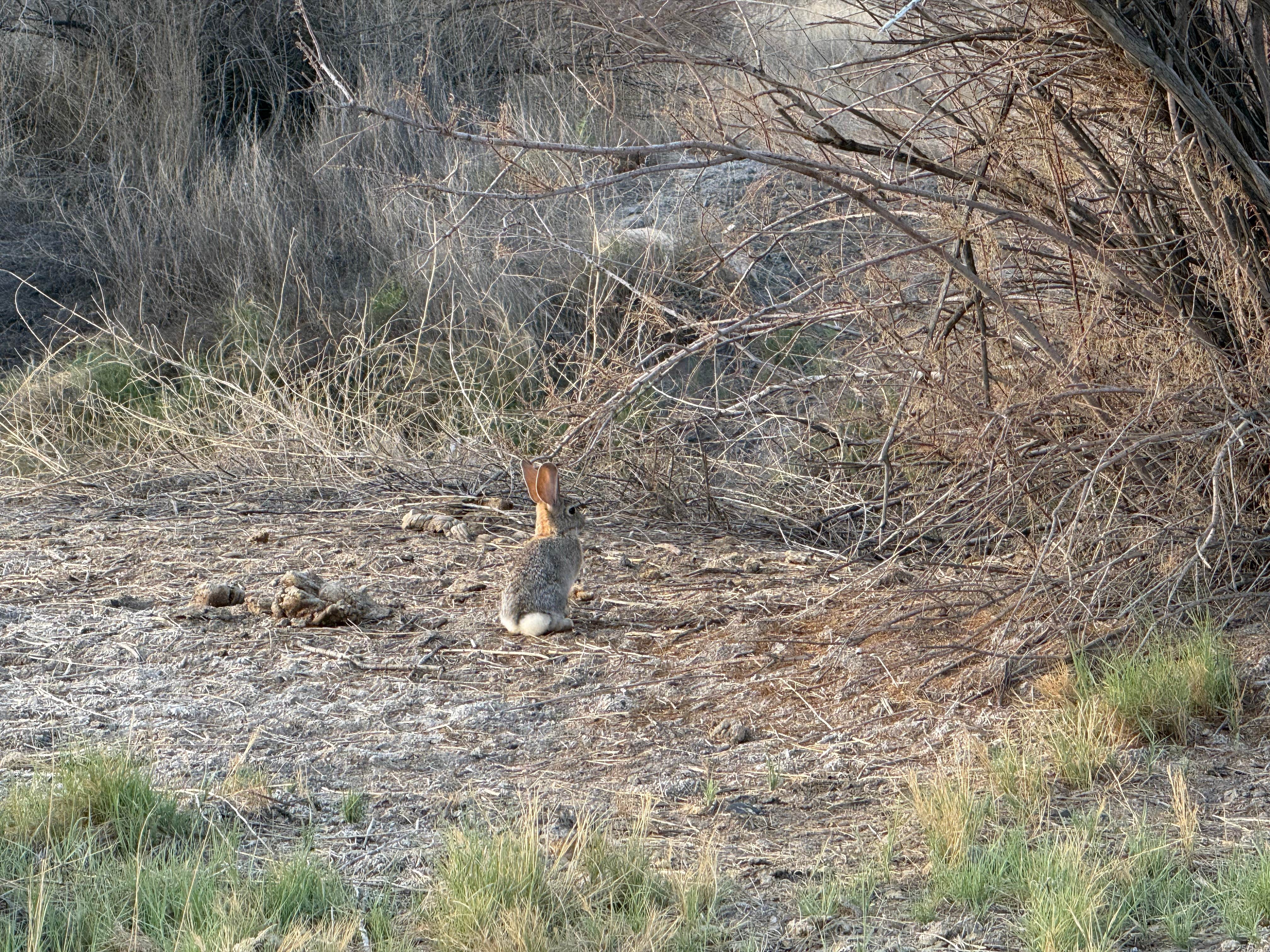 Humboldt State WMA