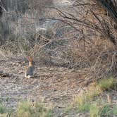 Review photo of Humboldt State WMA by Joseph W., May 17, 2026