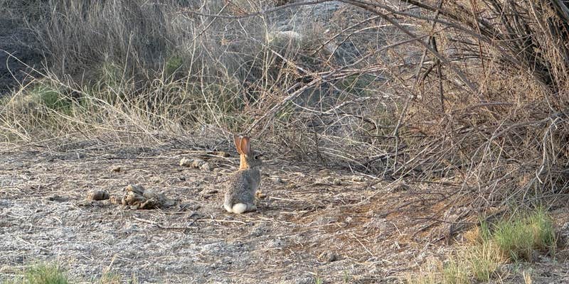 Camper submitted image from Humboldt State WMA