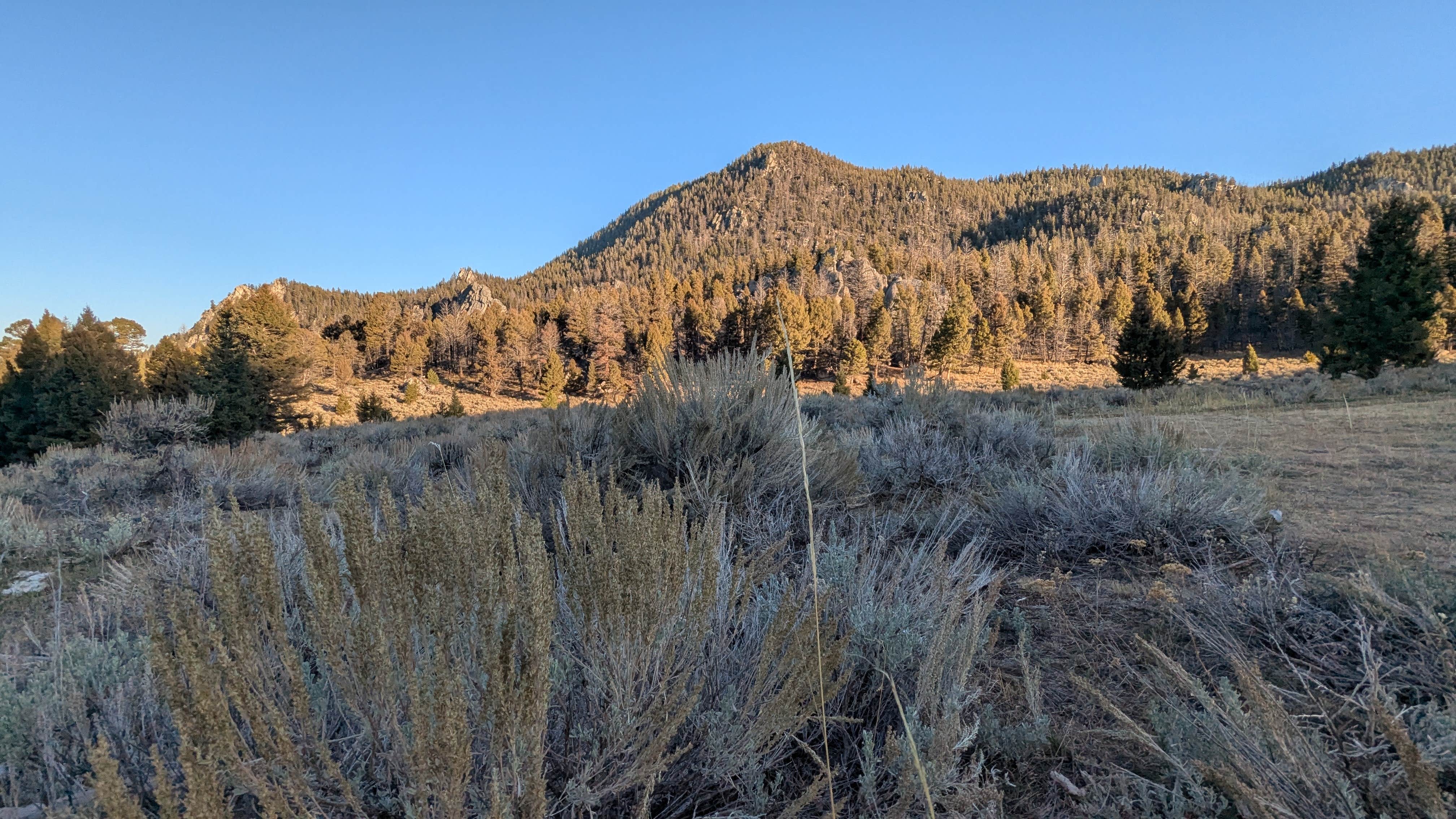 Camper-submitted photo at Humbug Spires Wilderness Study Area near Beaverhead-Deerlodge National Forest