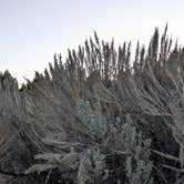 Review photo of Humbug Spires Wilderness Study Area by David M., September 20, 2025