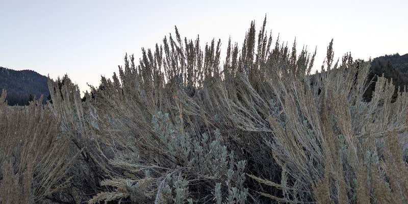 Camper submitted image from Humbug Spires Wilderness Study Area