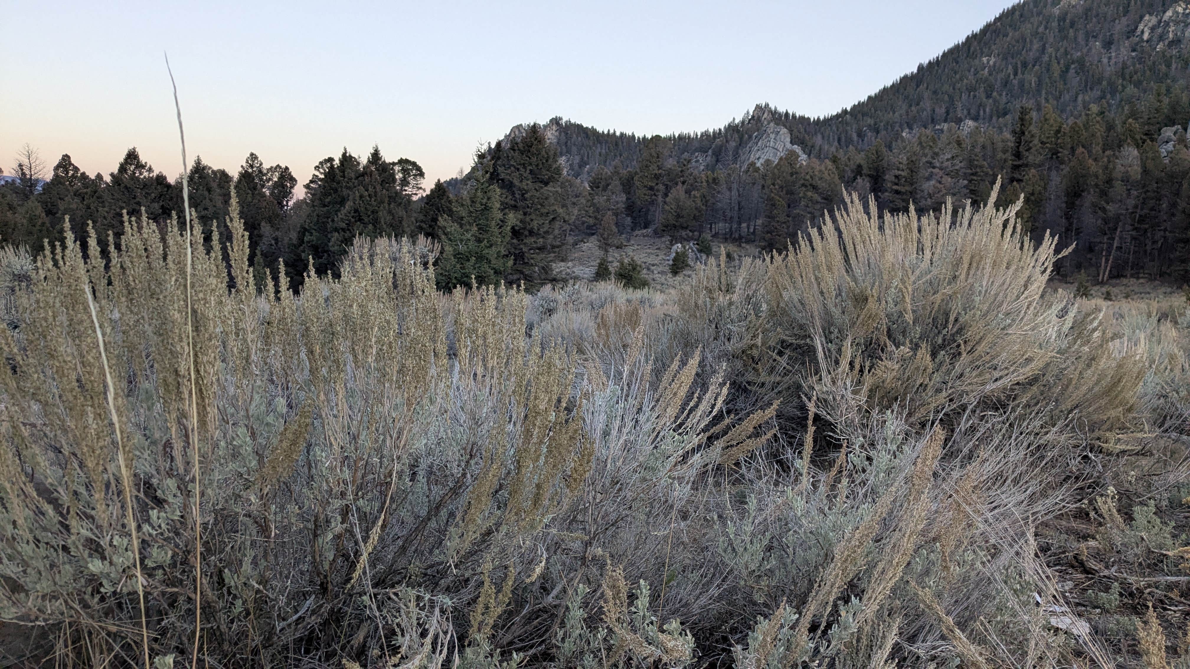 Camper-submitted photo at Humbug Spires Wilderness Study Area near Beaverhead-Deerlodge National Forest
