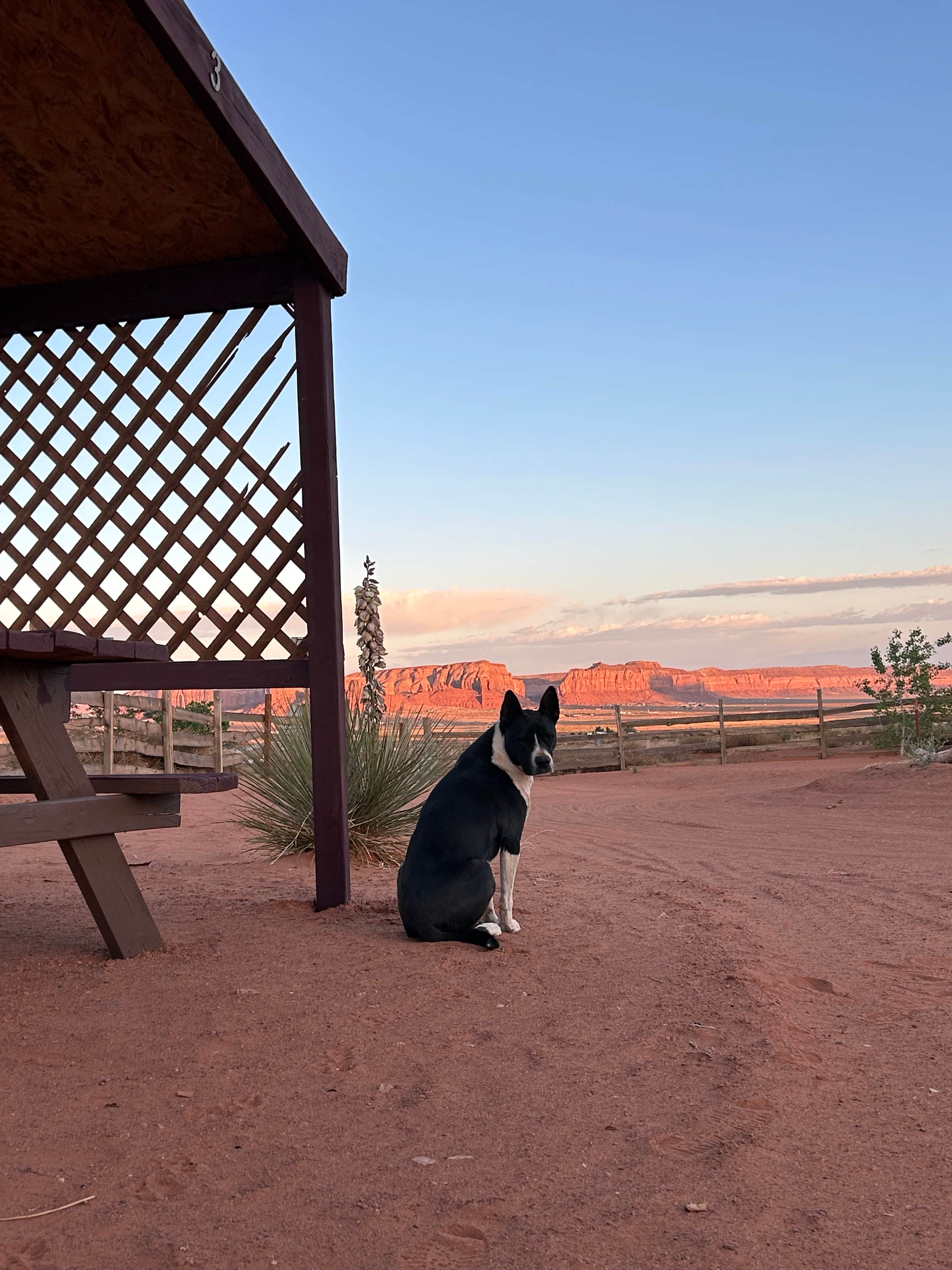 michal W.'s photo of camping with pets at Hummingbird Campground near Monument Valley, AZ