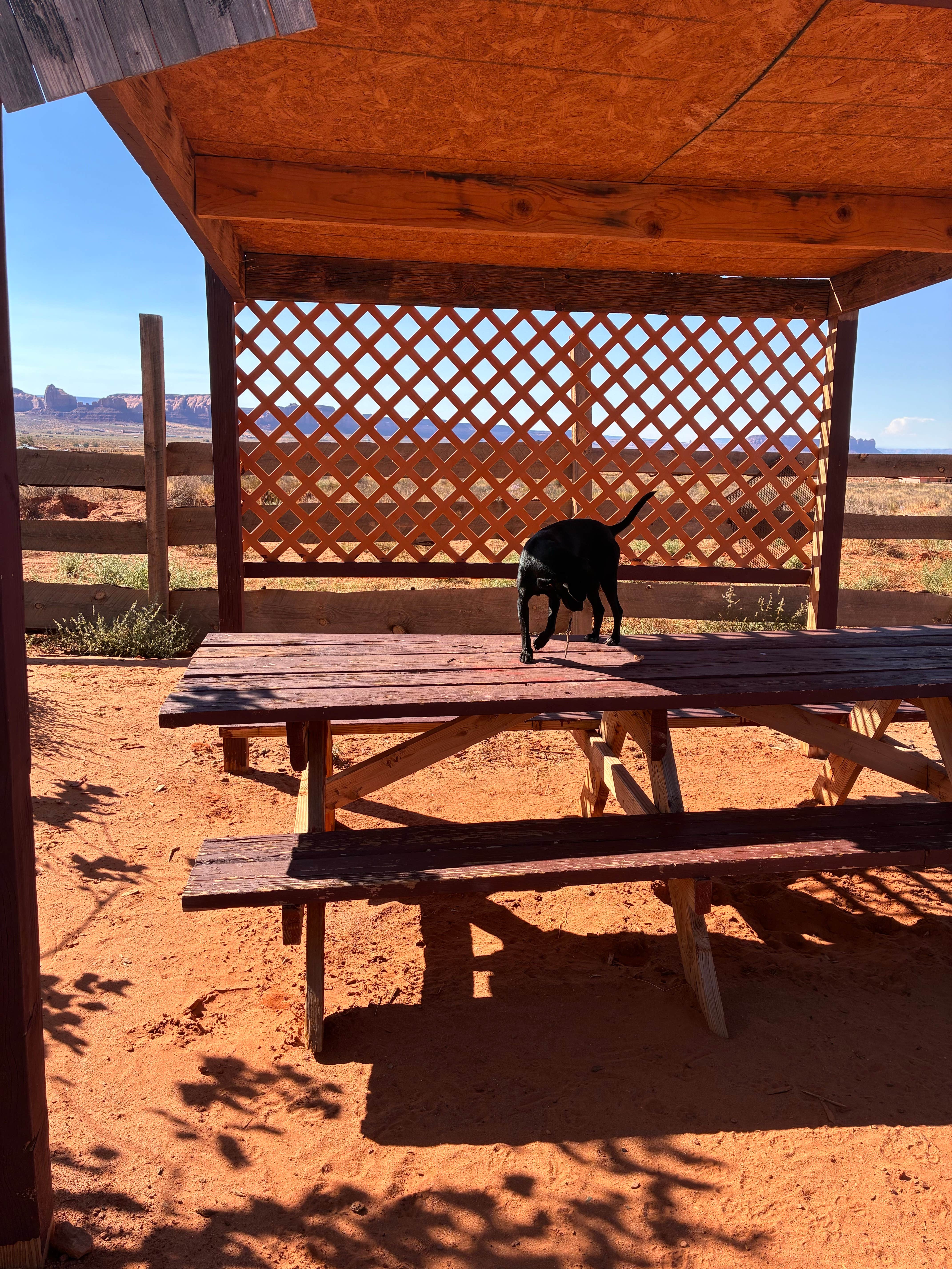 Raymond Z.'s photo of camping with pets at Hummingbird Campground near Mexican Hat, UT