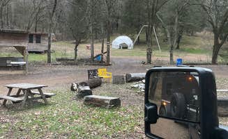 Andrew S.'s photo of camping with pets at Hundred Acre Woods near Nashville, TN