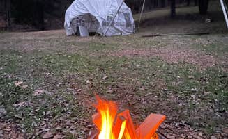 Andrew S.'s photo at Hundred Acre Woods near La Vergne, TN
