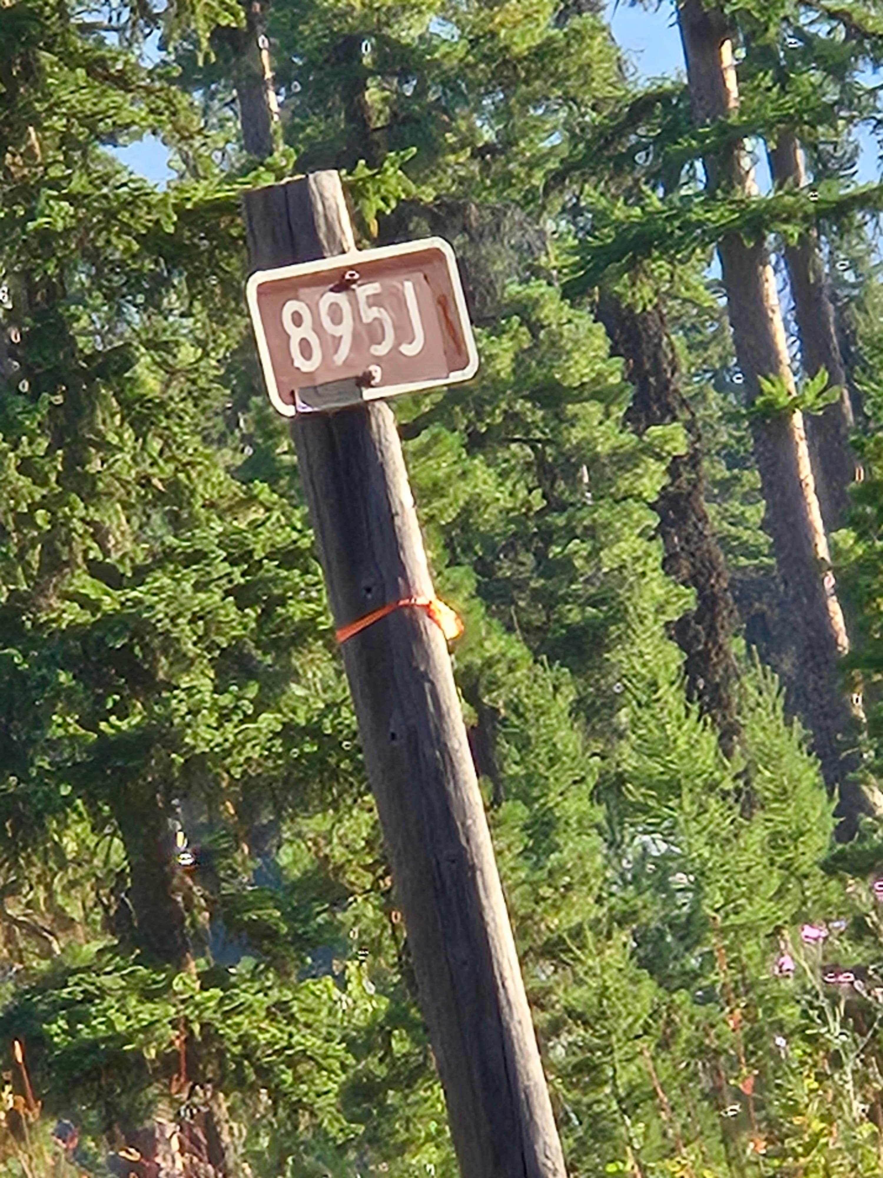 Camper-submitted photo at Hungry Horse Reservoir Dispersed near Columbia Falls, MT
