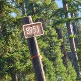 Review photo of Hungry Horse Reservoir Dispersed by Steve M., August 19, 2025
