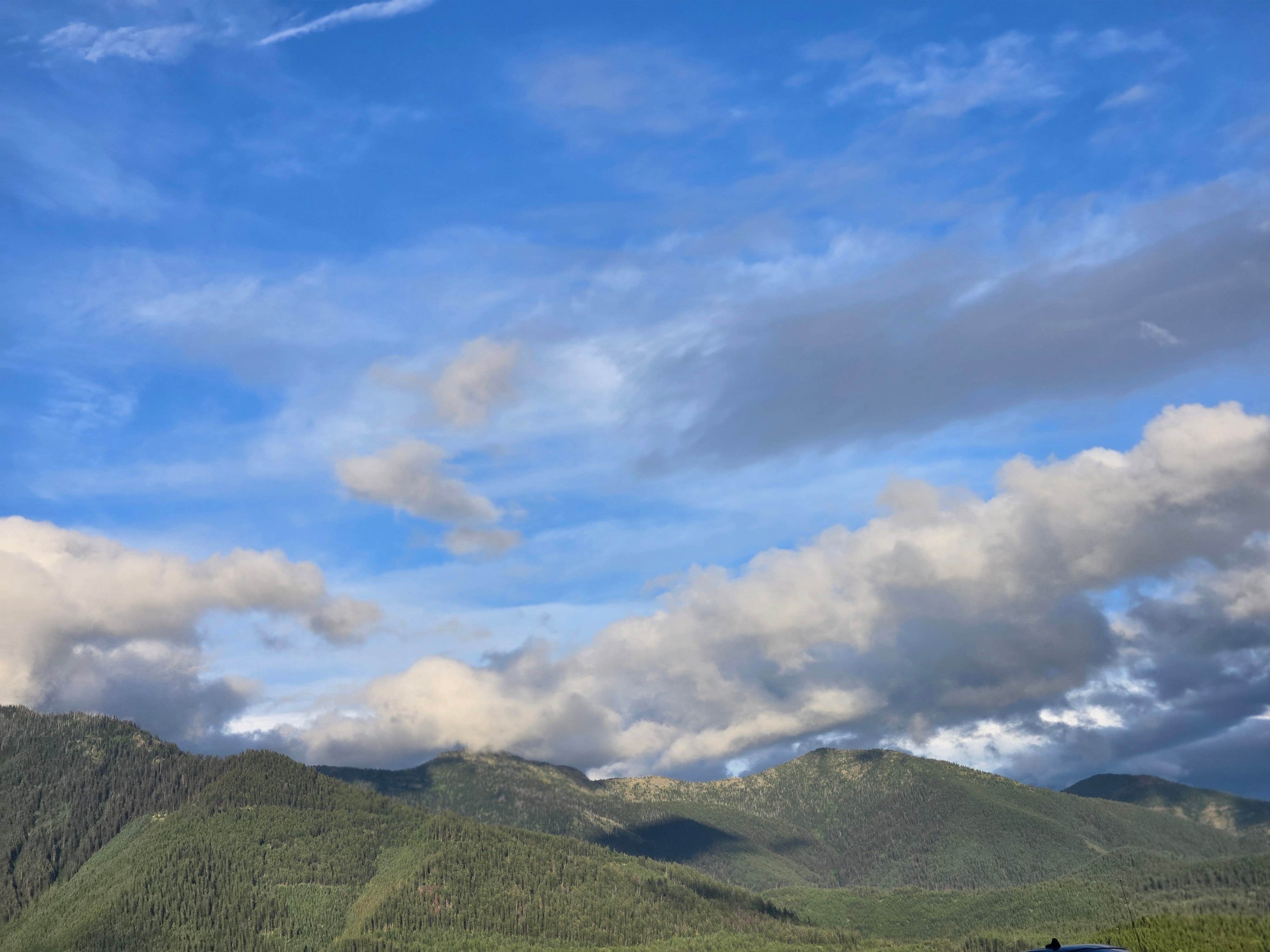 Camper-submitted photo at Hungry Horse Reservoir Dispersed near Columbia Falls, MT
