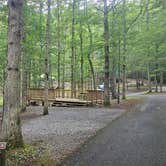 Review photo of Royal Oak Campground — Hungry Mother State Park by Katrin M., August 26, 2025
