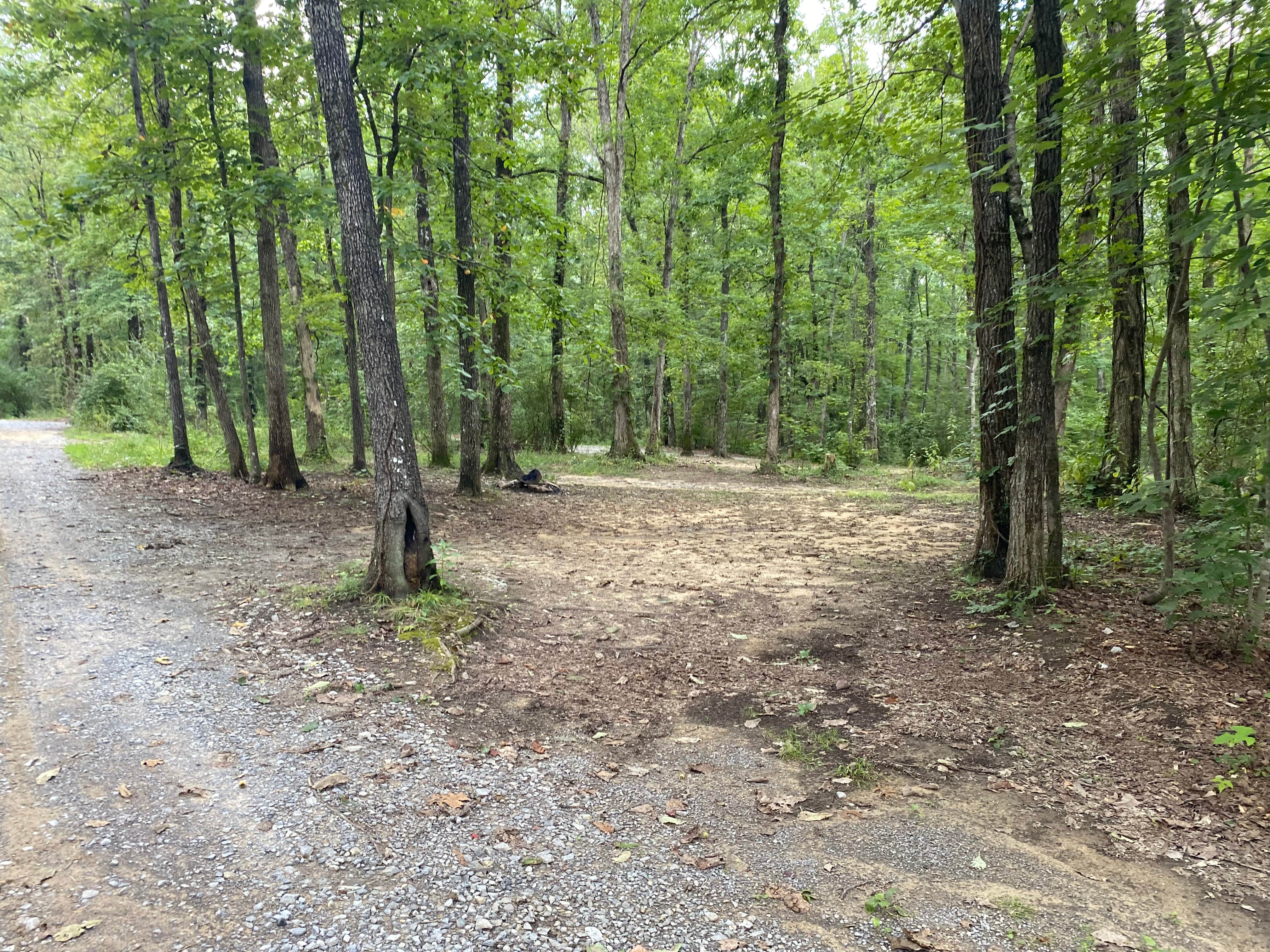Camper-submitted photo at Hunter’s Check Station Campground - Prentice Cooper State Forest near Signal Mountain, TN