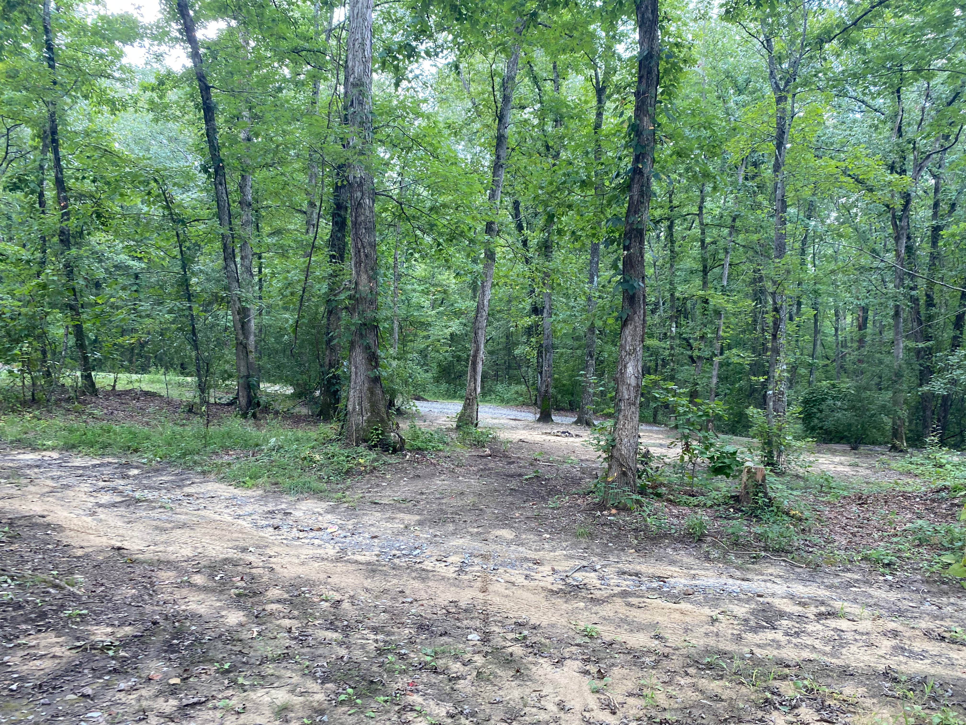 Camper-submitted photo at Hunter’s Check Station Campground - Prentice Cooper State Forest near Signal Mountain, TN